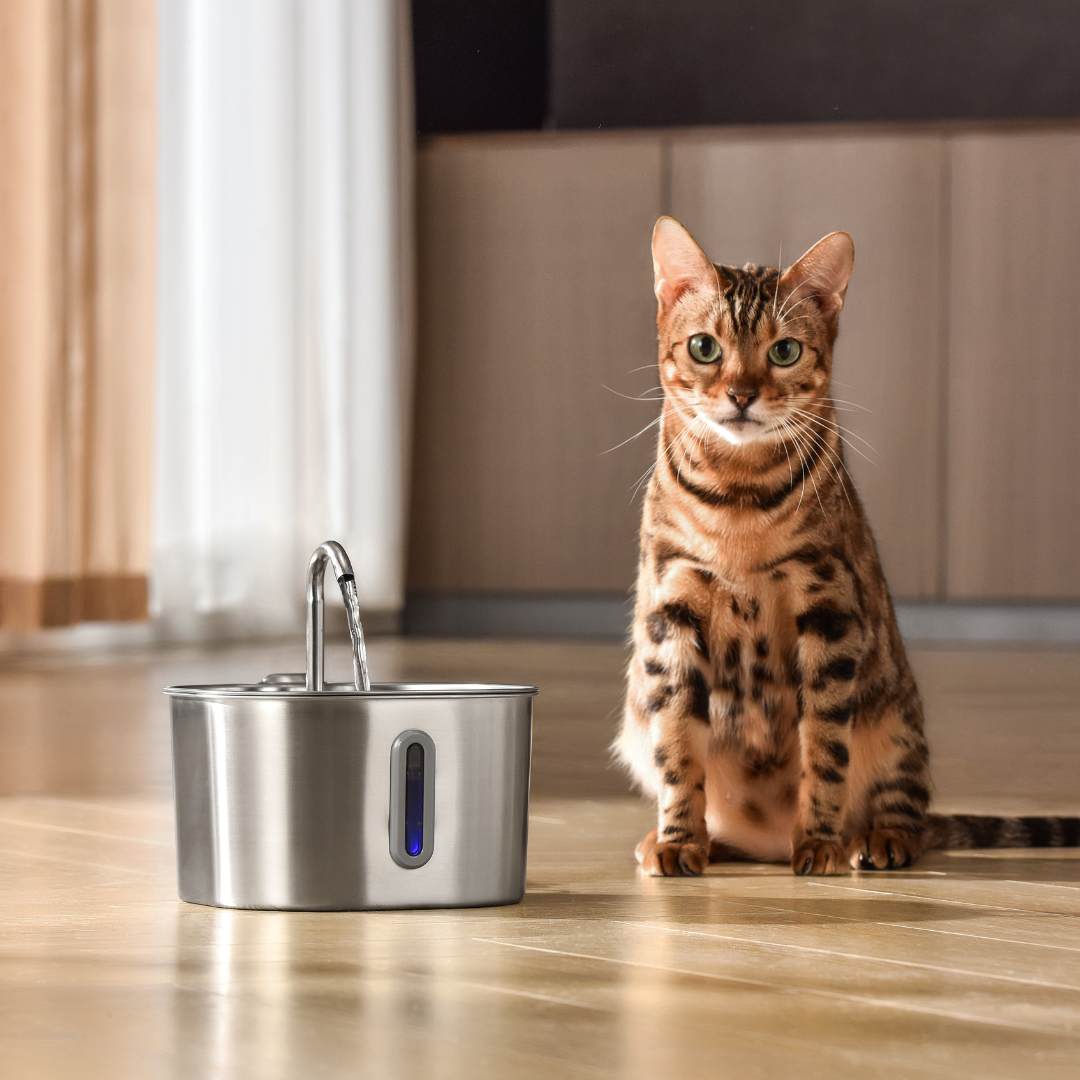 KittySpout™ 2.2L Stainless Steel Cat Water Fountain