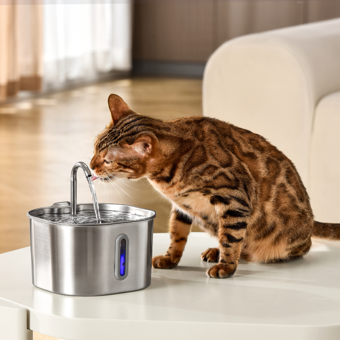 KittySpout™ 2.2L Stainless Steel Cat Water Fountain