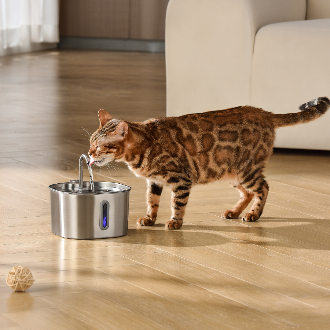 KittySpout™ 2.2L Stainless Steel Cat Water Fountain
