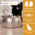 The KittySpout™ - Health & Happiness Cat Kit