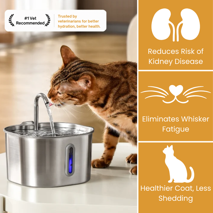 KittySpout™ 2.2L Stainless Steel Cat Water Fountain