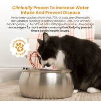 KittySpout™ 4L Stainless Steel Cat Water Fountain