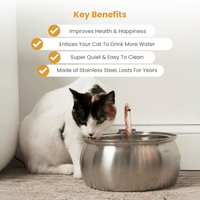 KittySpout™ 4L Stainless Steel Cat Water Fountain