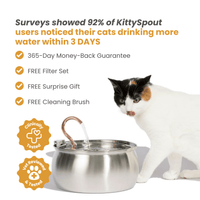 KittySpout™ 4L Stainless Steel Cat Water Fountain