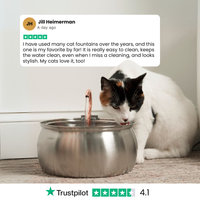 KittySpout™ 4L Stainless Steel Cat Water Fountain