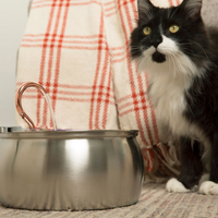 KittySpout™ 4L Stainless Steel Cat Water Fountain