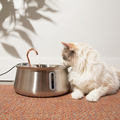 KittySpout 4L 2.0 stainless steel cat water fountain