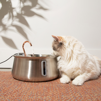 KittySpout 4L 2.0 stainless steel cat water fountain