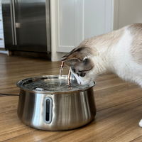 Cat drinking from KittySpout 4L stainless steel water fountain