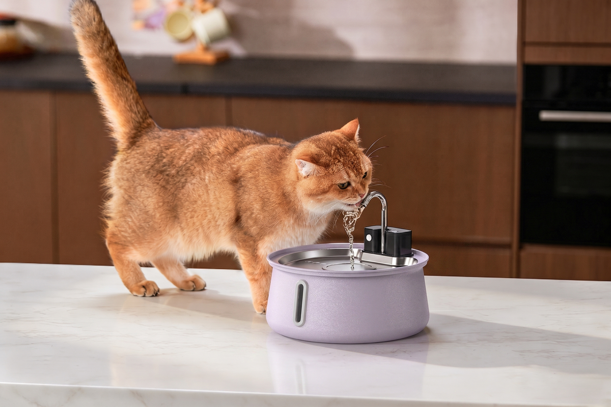 ilac KittySpout Wireless Fountain 2.0
